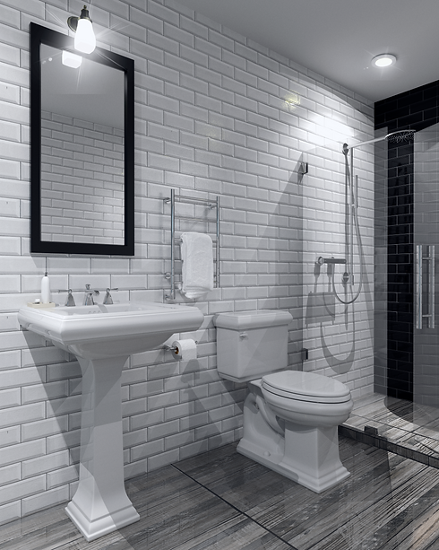 BAÑO01.png