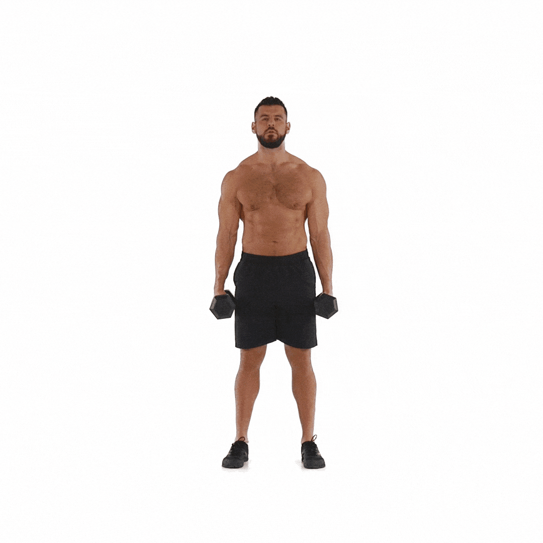 Dumbbell lateral raises.gif