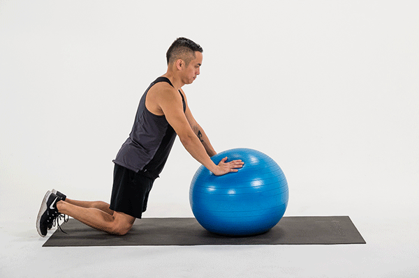 Swiss ball rollouts.gif