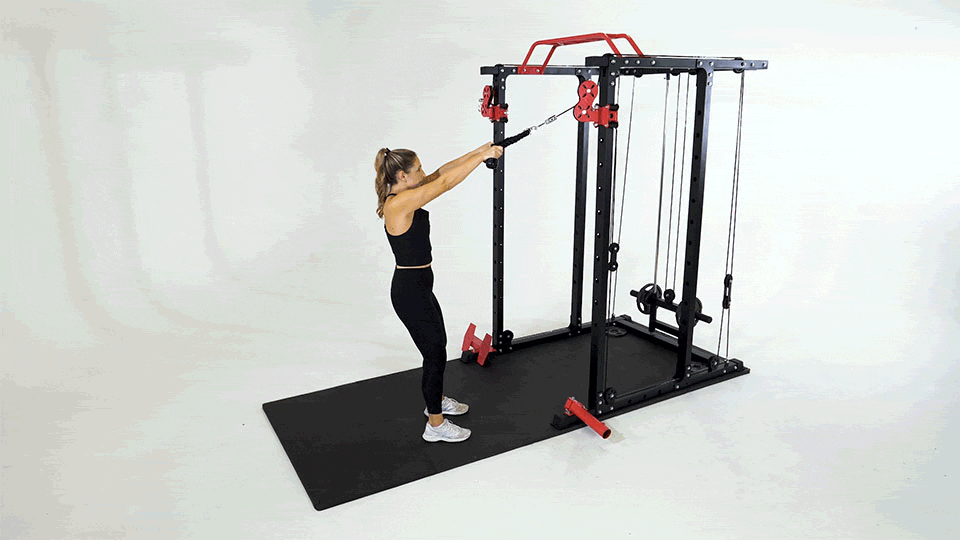 Cable face pulls.gif