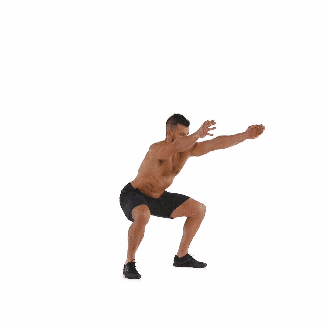 Bodyweight squats.gif