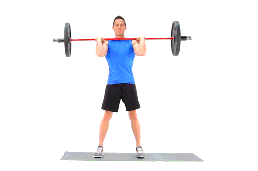 Front squat (barbell).gif