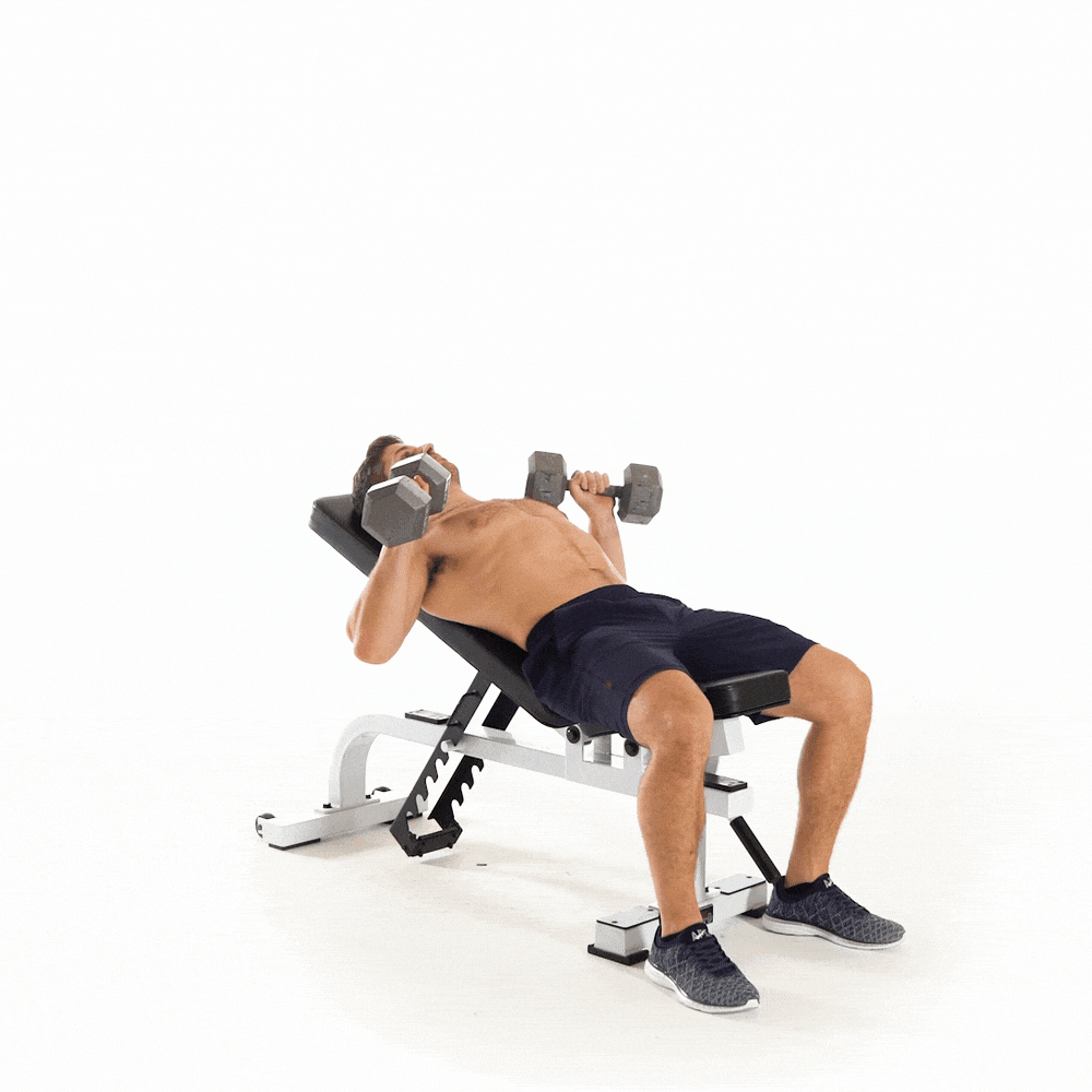 Bench press.gif