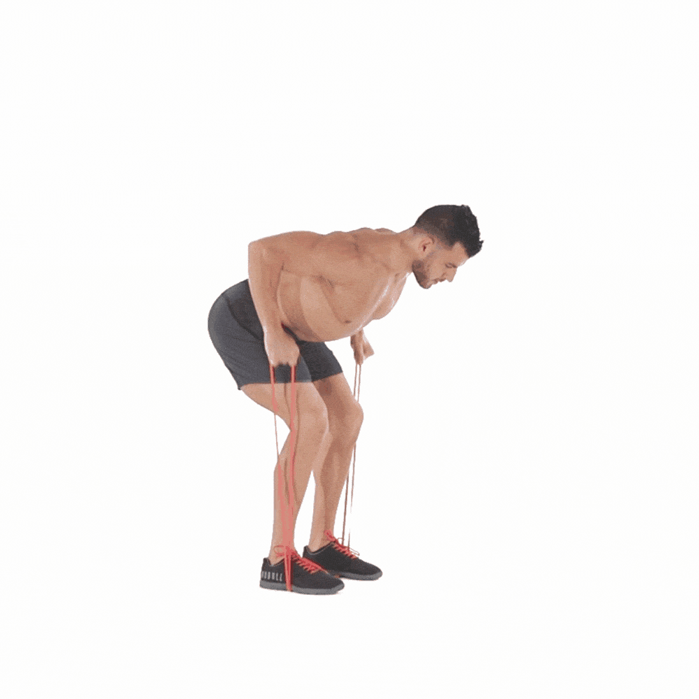 Banded rows.gif