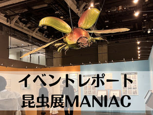 【 イベントレポ 】名古屋で開催！「昆虫展MANIAC」に学ぶ、人を惹きつける「標本」の力