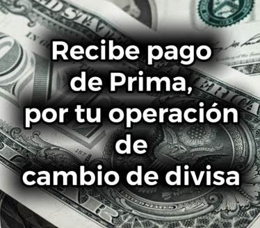 Pago de prima por operacion cambio divisa