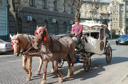 street-3319513_1280.jpg