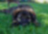 DSC00468-2_edited.jpg