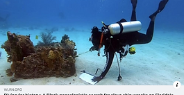 Diving for history: A Black genealogist's search for slave shipwrecks on Florida's ocean floor