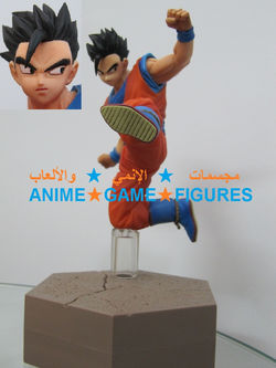 رمز المنتج: DBSGOH01