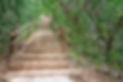 Stairs up the hill, to the Erawan Water fall,Kanchanaburi, Thailand..jpg