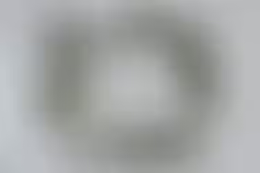 Celebrating the New Year!