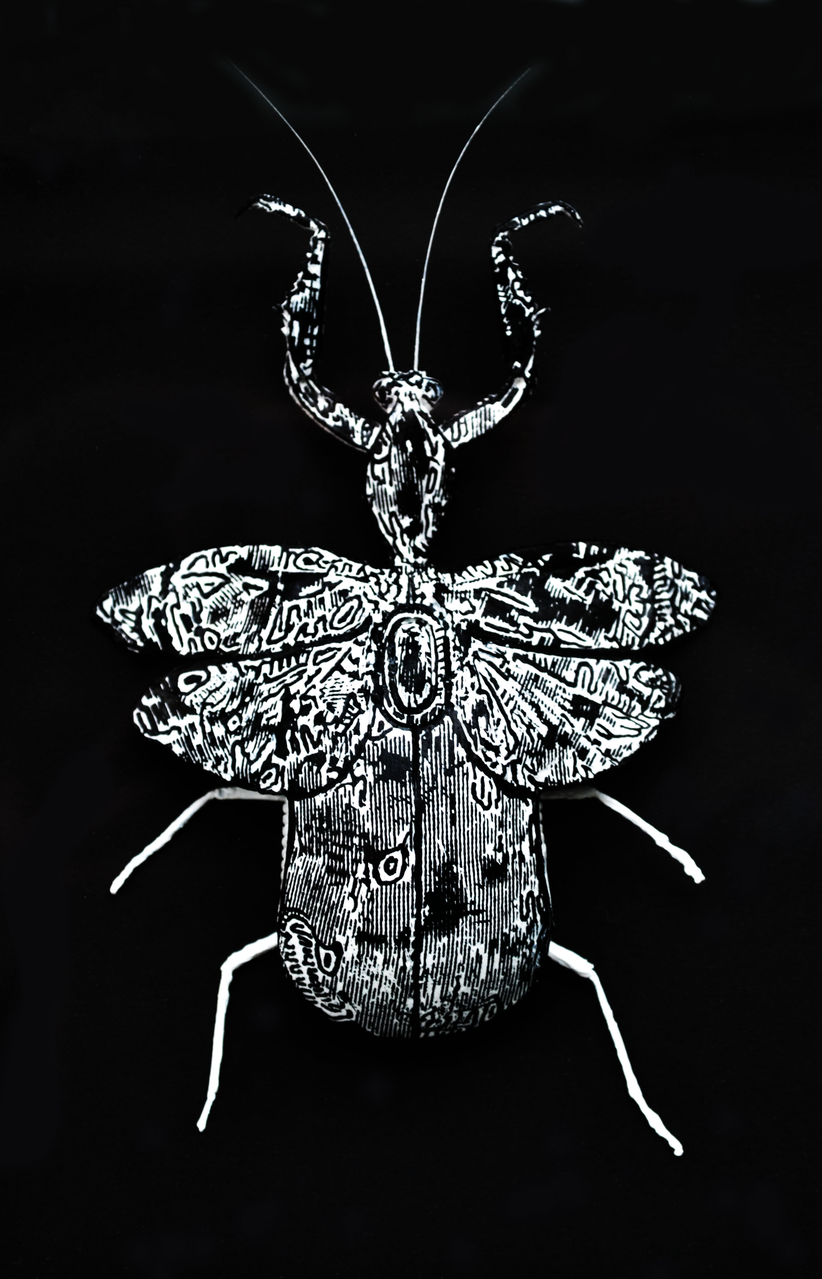 Mouse Bug 3/6 Gen I (UNIQUE PIECE)
