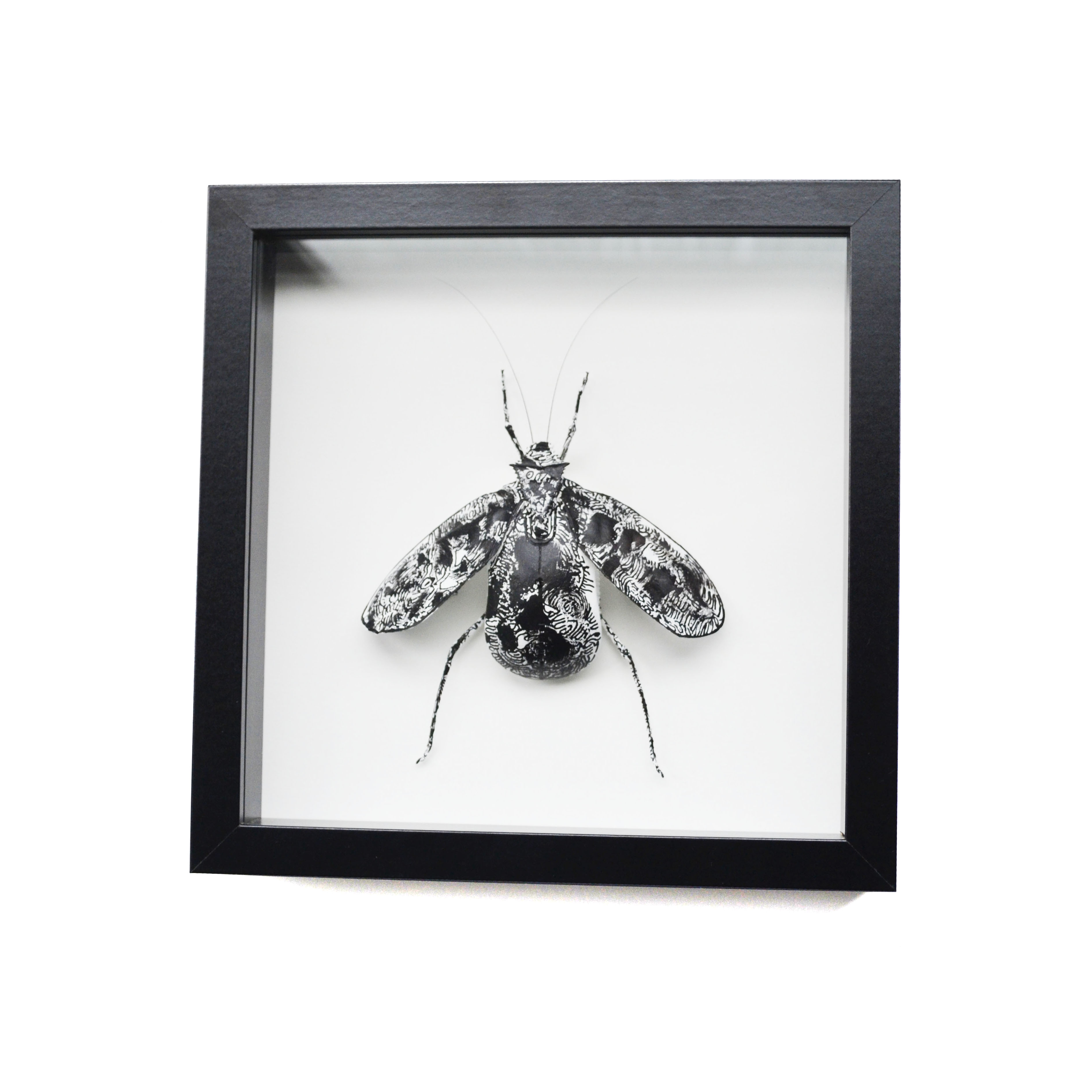 Mouse Bug 5/6 Gen I (UNIQUE PIECE)