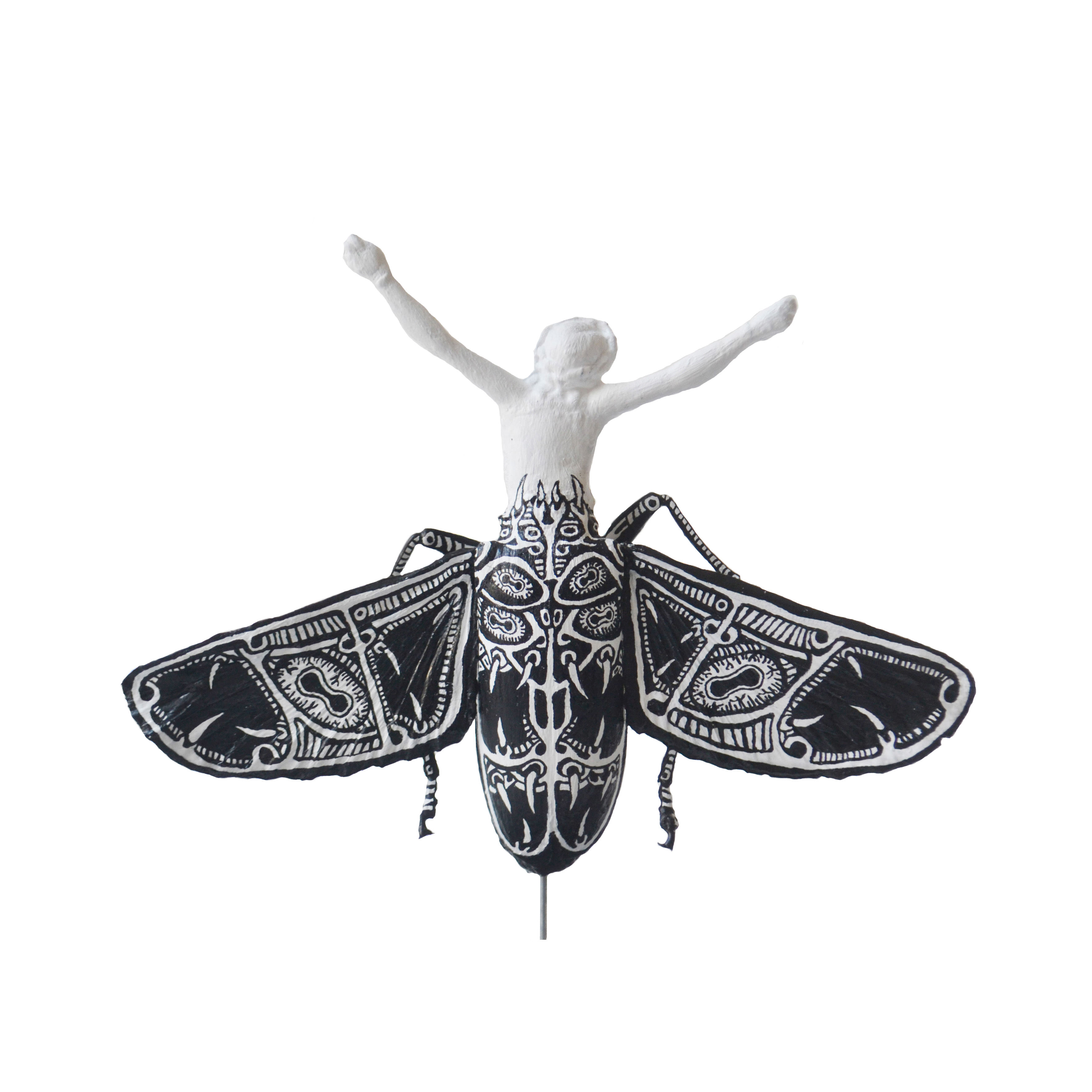 Christeopteryx II ("Sacred" Variety)