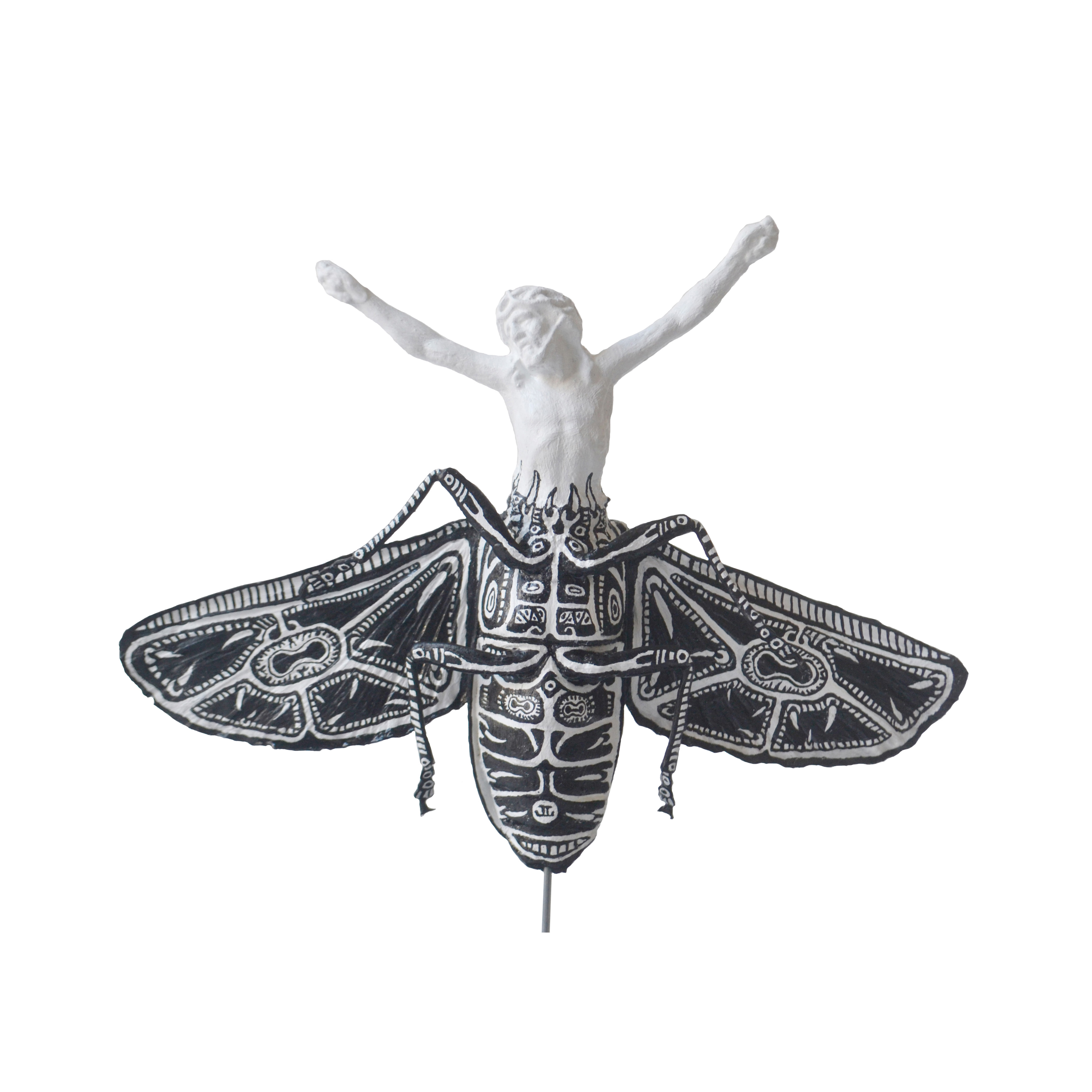 Christeopteryx II ("Sacred" Variety)