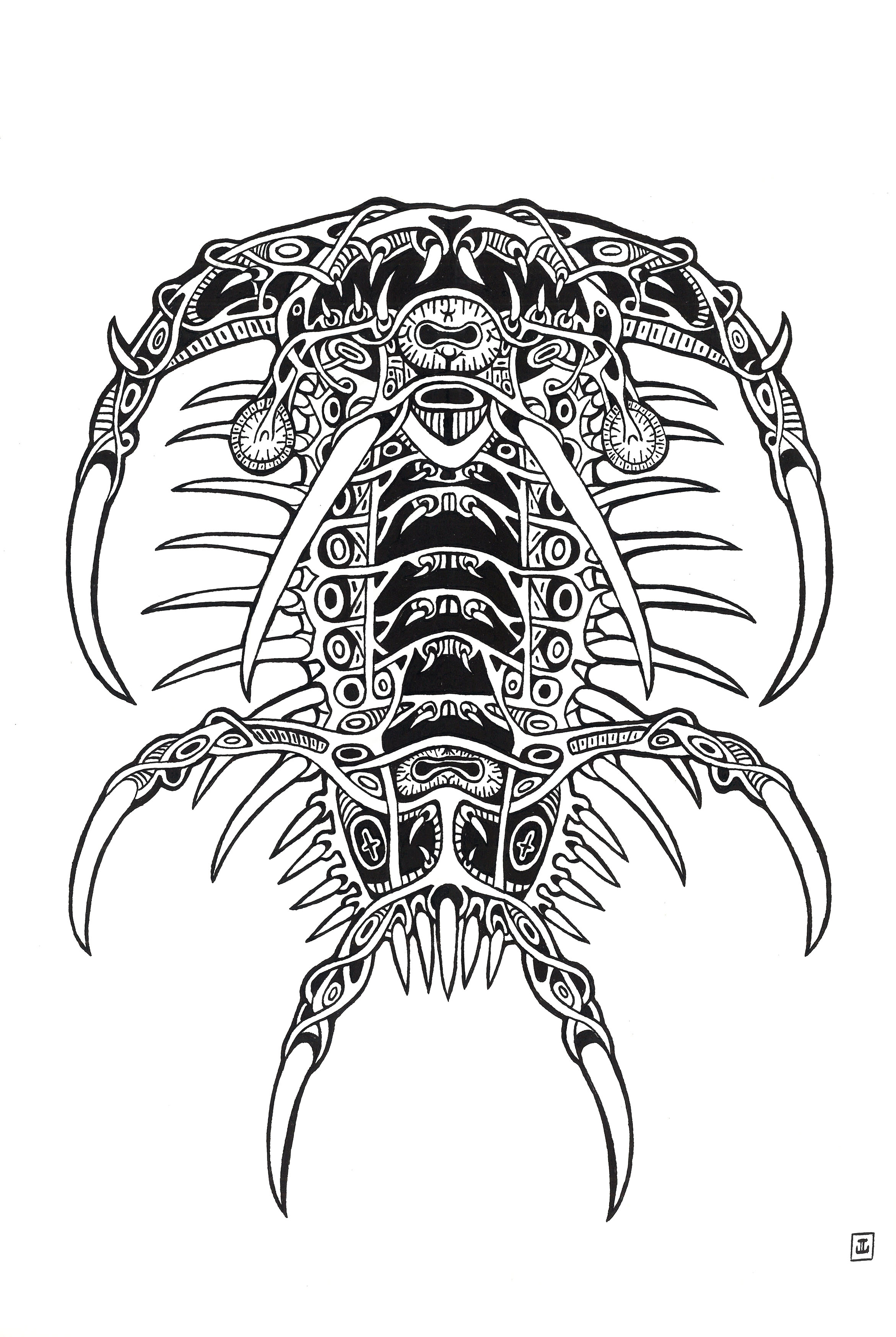 Ceratarges Spinosus - Trilobita I