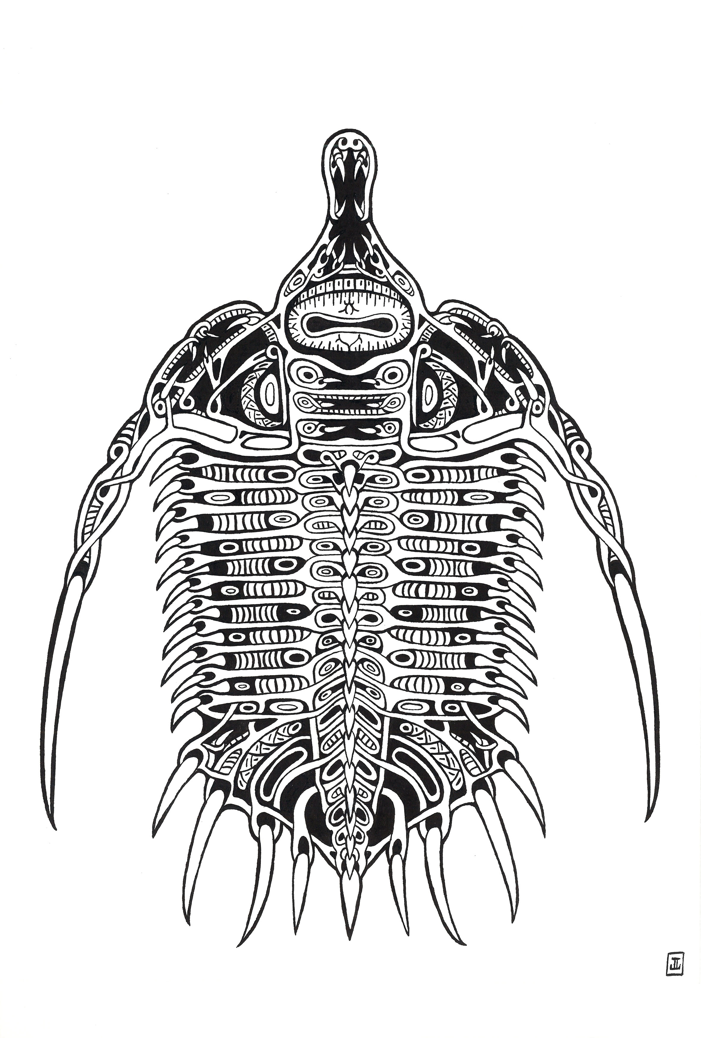 Psychopyge Elegans - Trilobita III