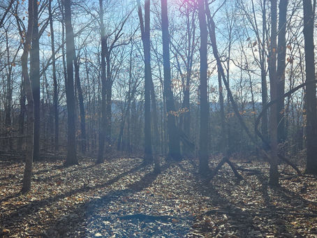 Fearless or Fearful?