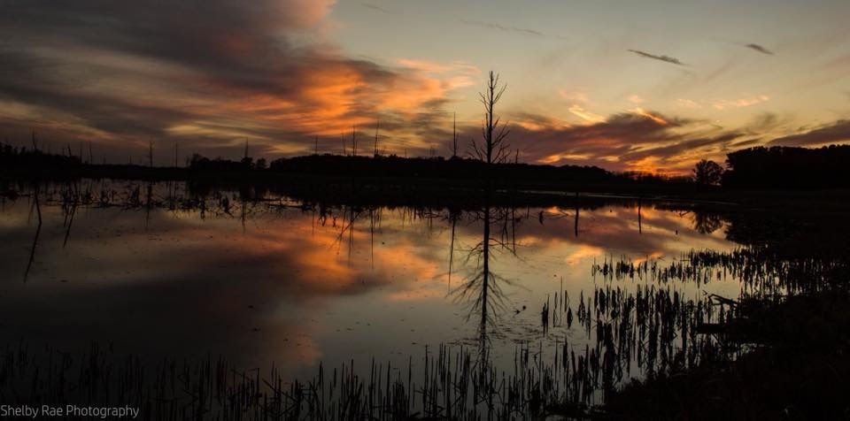 Sunset at Sherburne NWR, Photo by: Shelby Rae