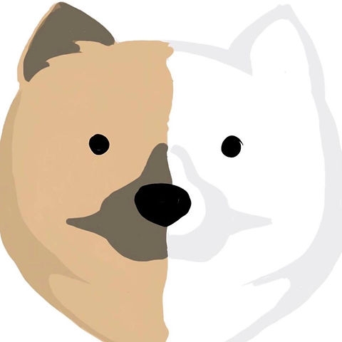 28423626_1635901523164950_69941811130090