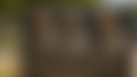 Unveiling the Unspoken: Untold Stories of the Civil Rights Movement