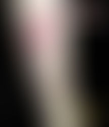 Phuket sandbox | Tattoo stadio | Flower tattoo