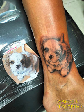 Dog realistic tattoo | Phuket Patong | Wake up Tattoo