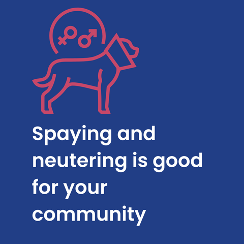 Spay and neuter community cats