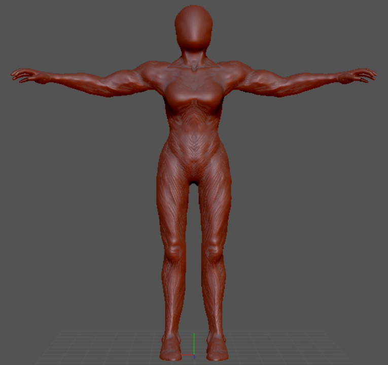 base_mesh_1