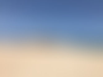BOA VISTA DESERT