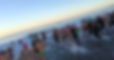 0D85DF6A-B888-4A66-B9CF-2366AD4F27C9_edited_edited.jpg