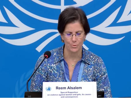 【レポ】241207 「女性と少女に対する暴力問題」国連報告書についての学習会