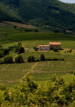 Sortie Beaujolais