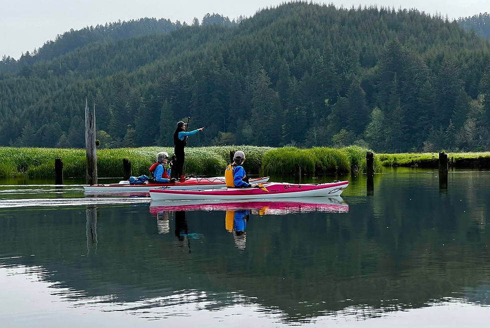 Siuslaw River South Slough