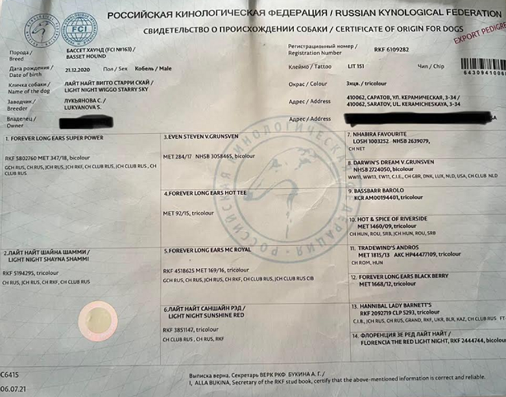 Charlie Pedigree.png