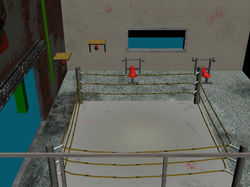 Sky Gym balcony shot