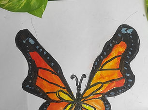Monarch Butterfly