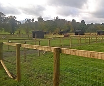 stud farm enclosures.jpg