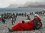 David Smyth on with penguins on South Georgia