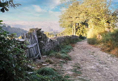 The Camino de Santiago is a network of ancient routes leading to the Cathedral of Santiago
