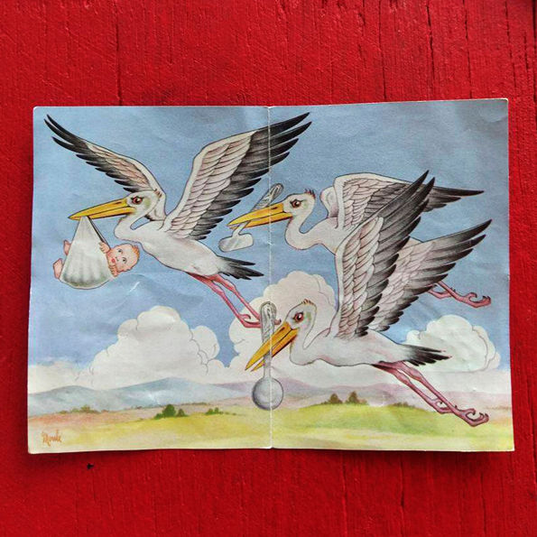Dr Stork