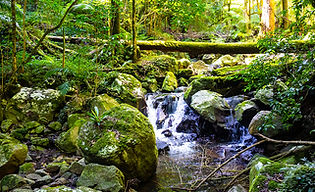 There is nothing quite like the instantly calming sound of waterfalls. Hiking through a st