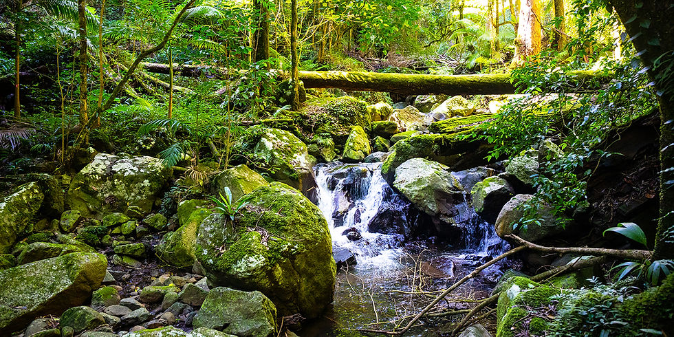 There is nothing quite like the instantly calming sound of waterfalls