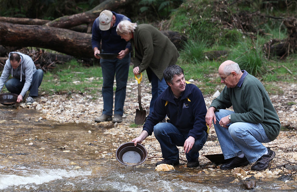 Gold Relics Gold Prospecting Adventures
