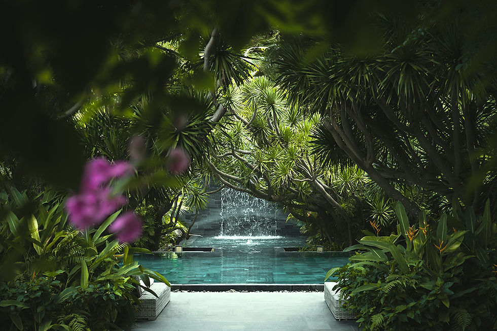 The TIA Resorts Wellness Centre features a waterfall and pool surrounded by lush green tropical plants. Image courtesy TIA Wellness Resort.