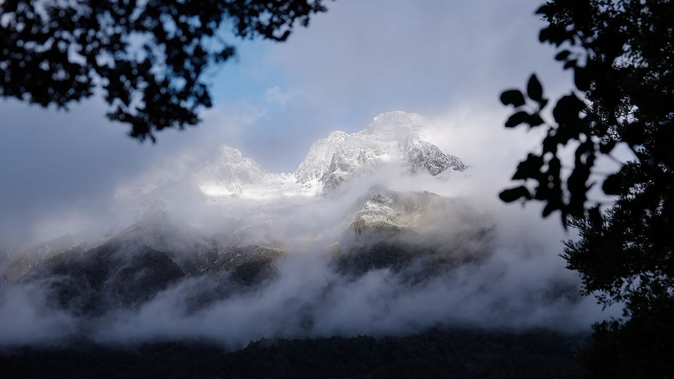 The view from the Routeburn Track, New Zealand