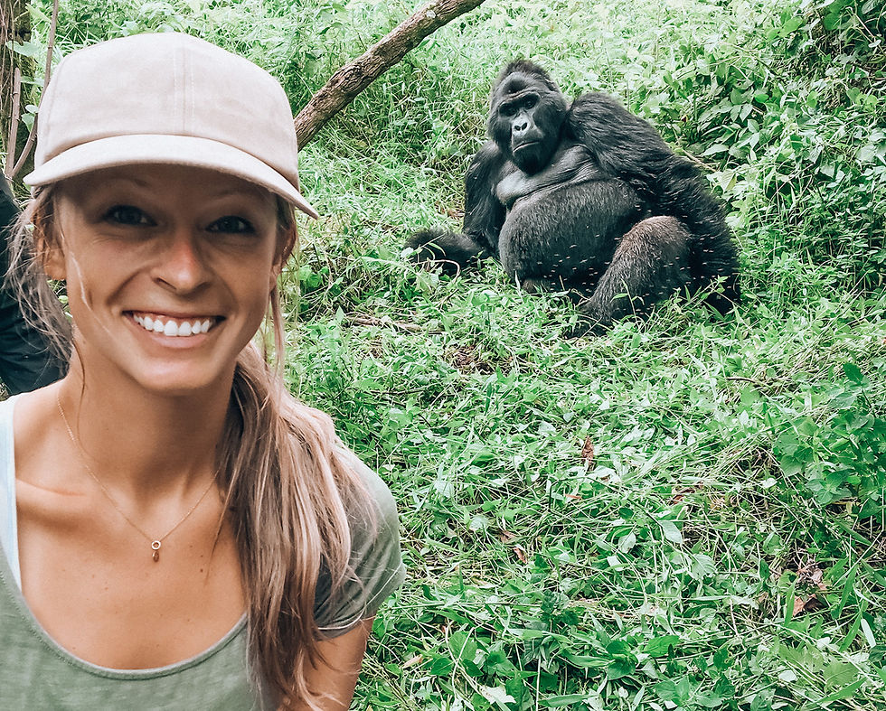 Trekking to see Uganda's mountain gorillas is a once-in-a-lifetime experience