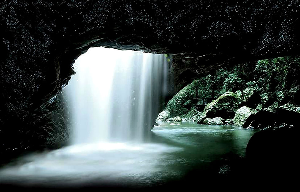 With 2025 Hall of Fame recipient JPT Tours, you can experience the wonder of glow worms at