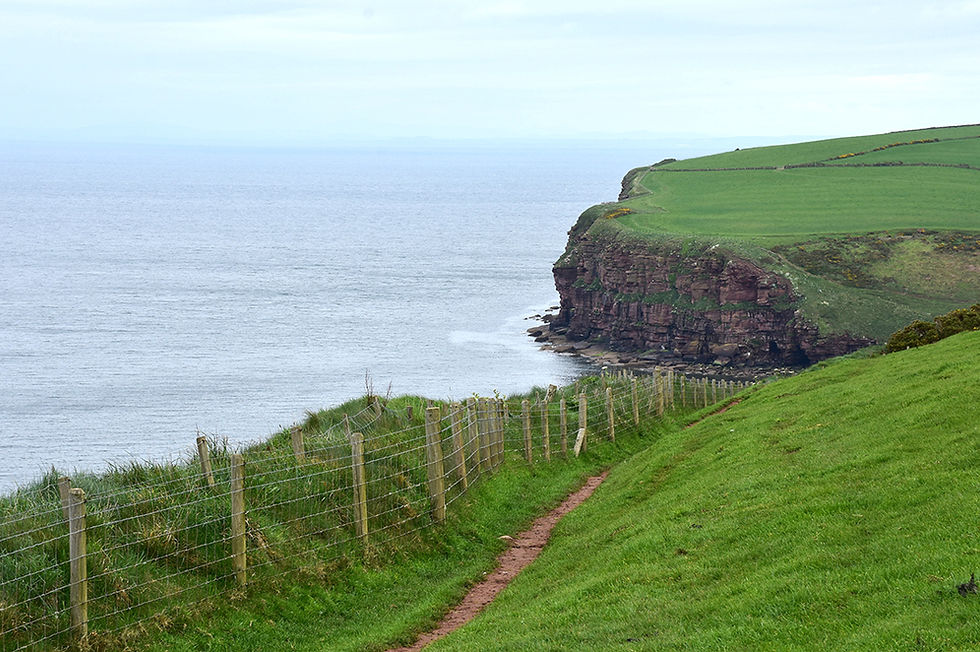 St Bees clifftop walk, England. Photographer: DejaVu Designs | iStock.